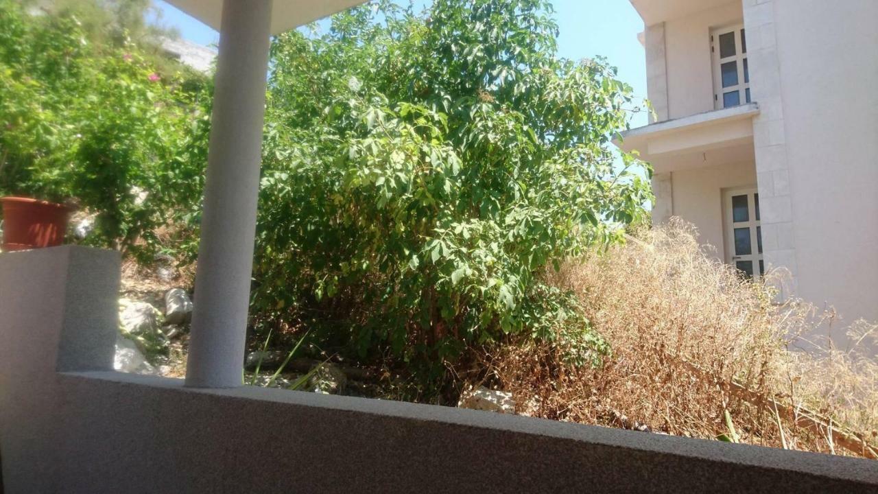 Apartment Adam زافالاتيكا المظهر الخارجي الصورة