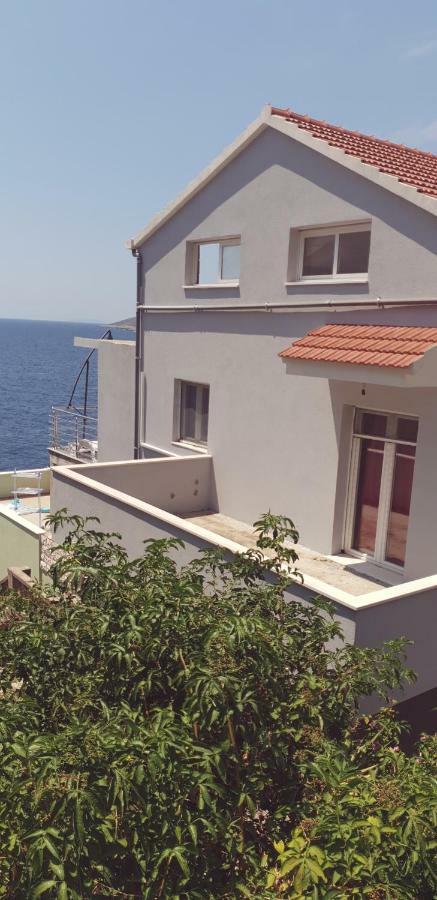 Apartment Adam زافالاتيكا المظهر الخارجي الصورة