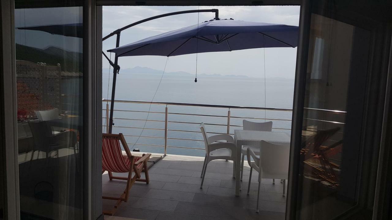 Apartment Adam زافالاتيكا المظهر الخارجي الصورة