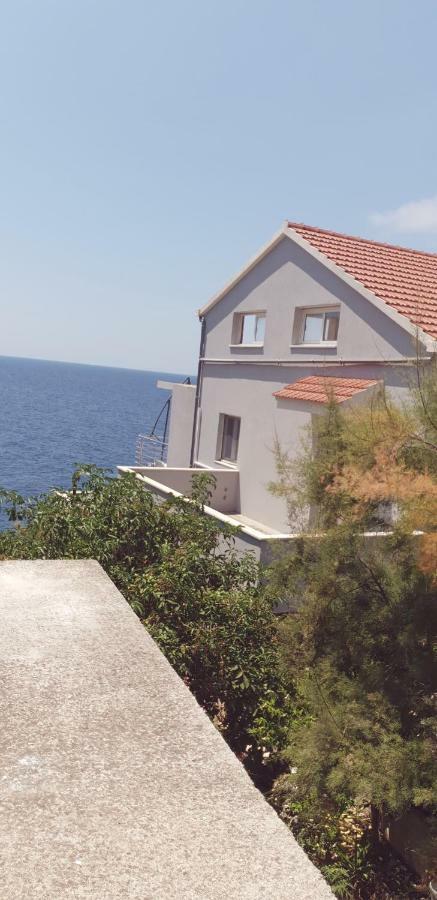 Apartment Adam زافالاتيكا المظهر الخارجي الصورة
