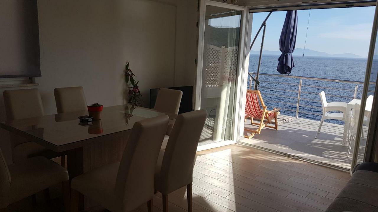 Apartment Adam زافالاتيكا المظهر الخارجي الصورة